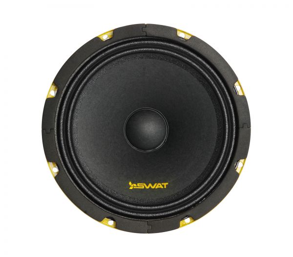 Естрадна акустика  SWAT SP PRO-80V2